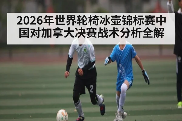 2026年世界轮椅冰壶锦标赛中国对加拿大决赛战术分析全解